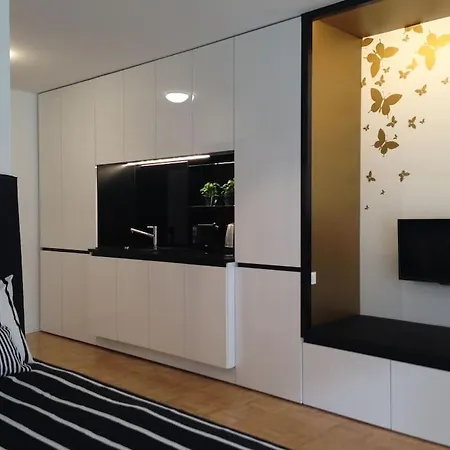 Gorgeous Flat With Garage Lublaň